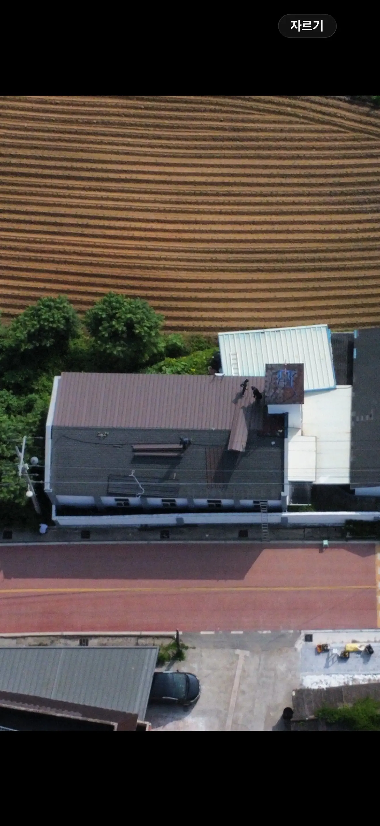 이미지 8