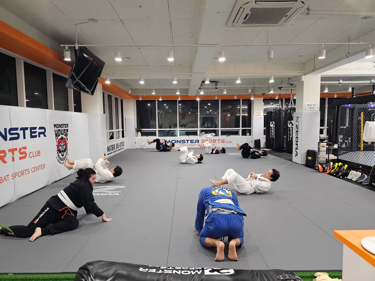 이미지 11