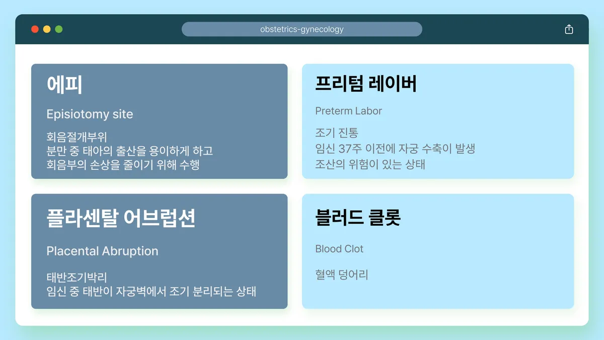 이미지 12