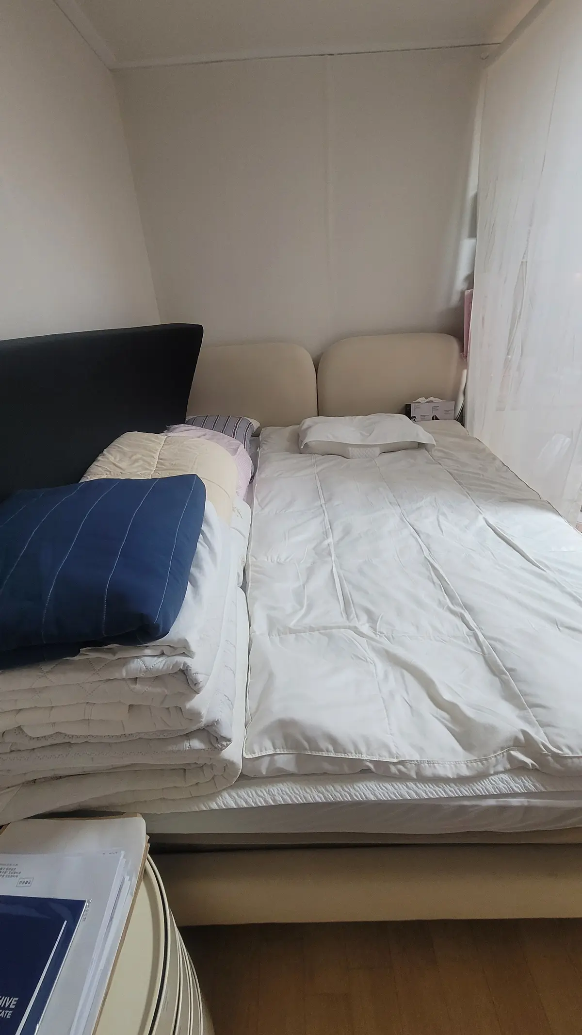 이미지 22