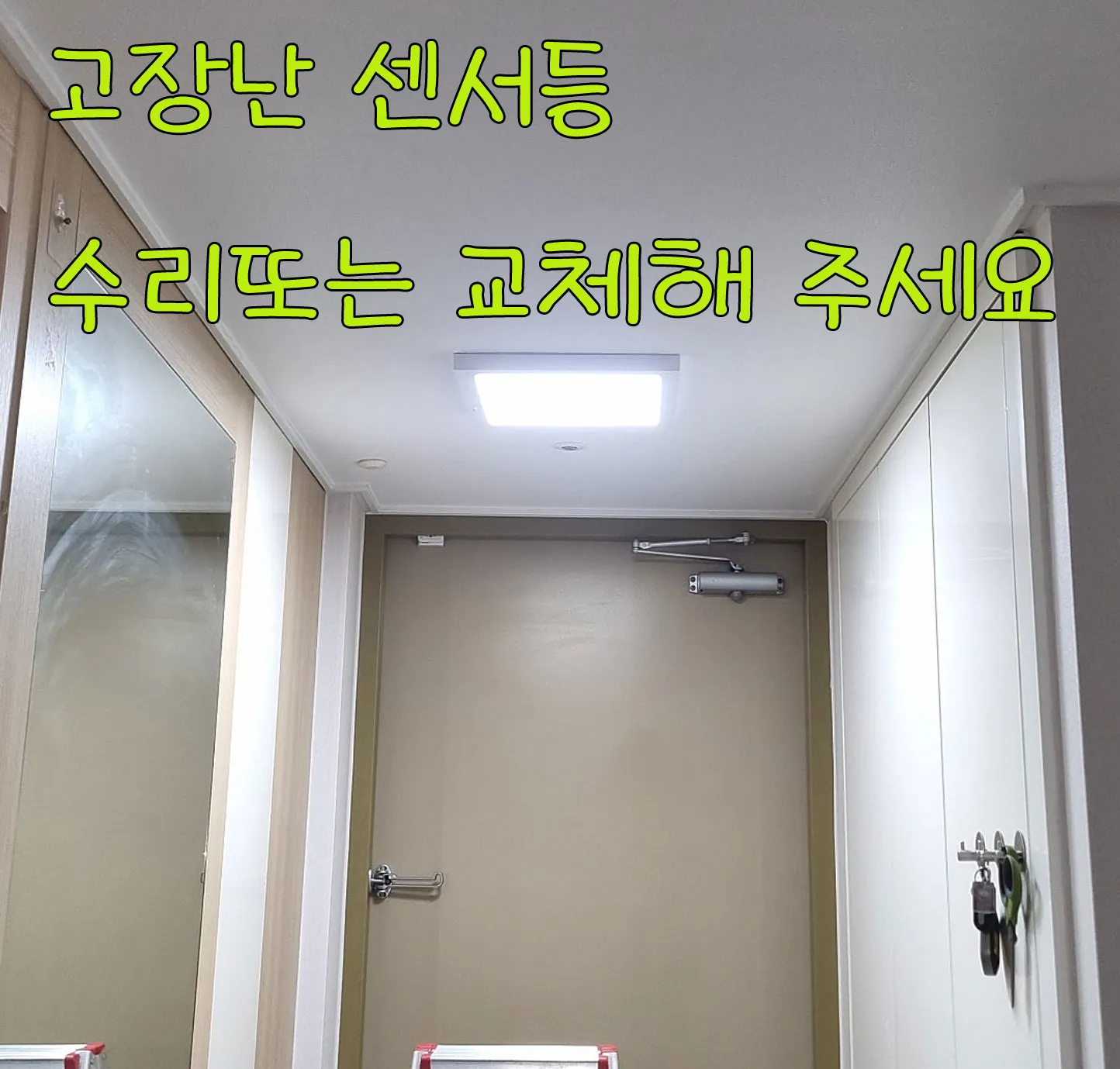 이미지 7