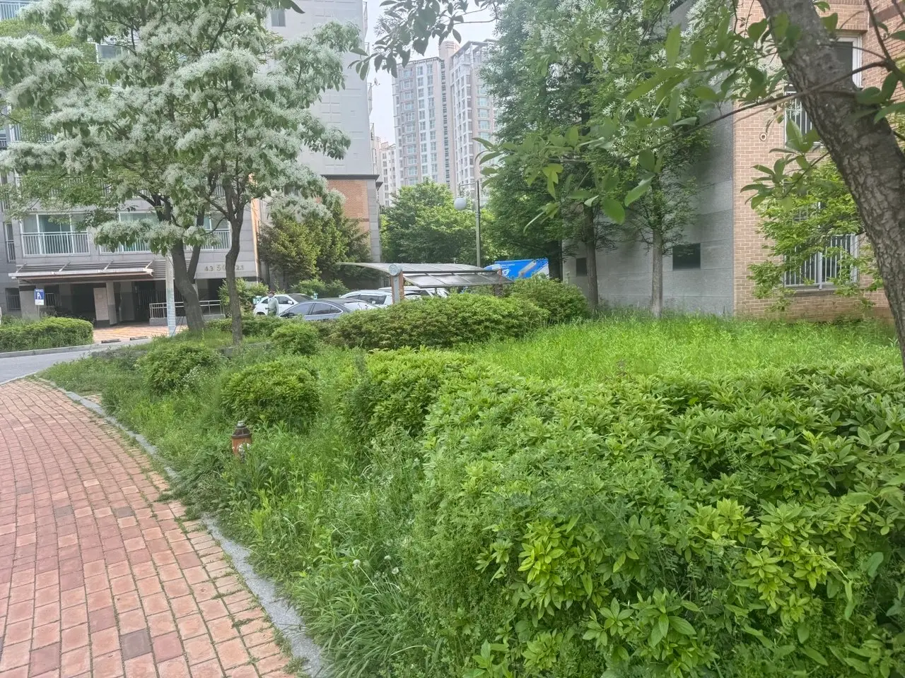 이미지 6