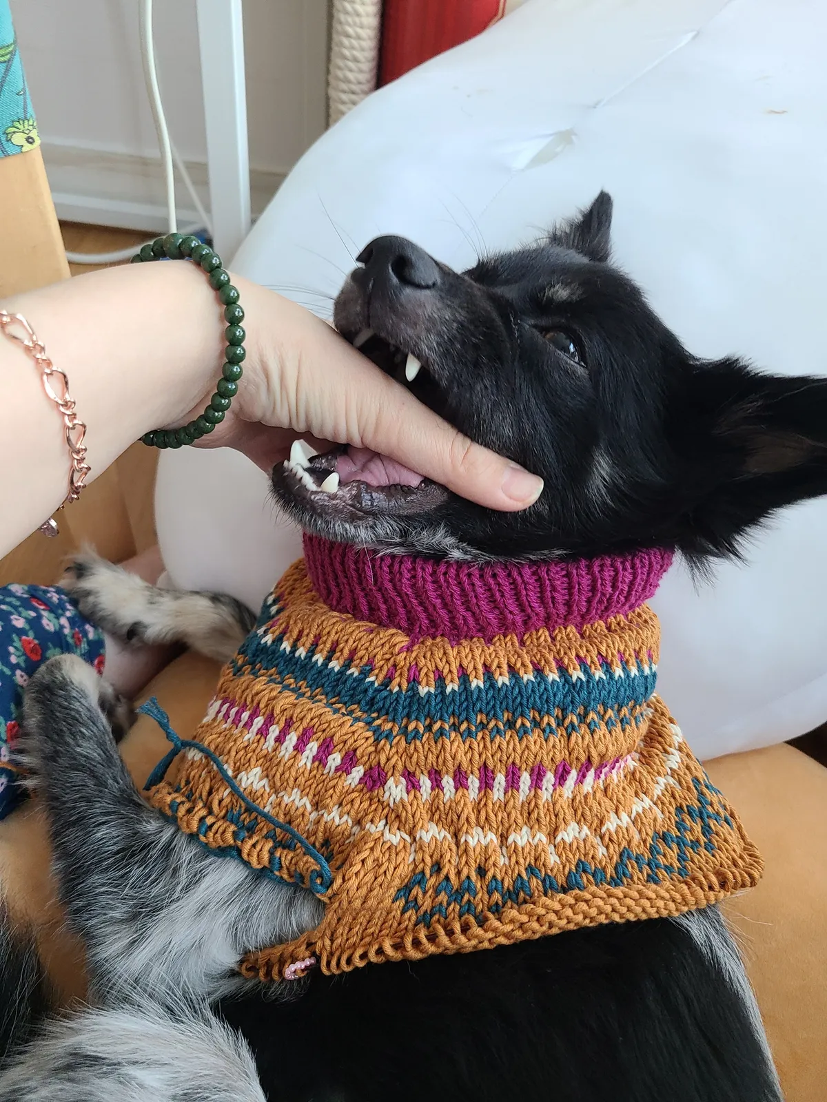 이미지 8