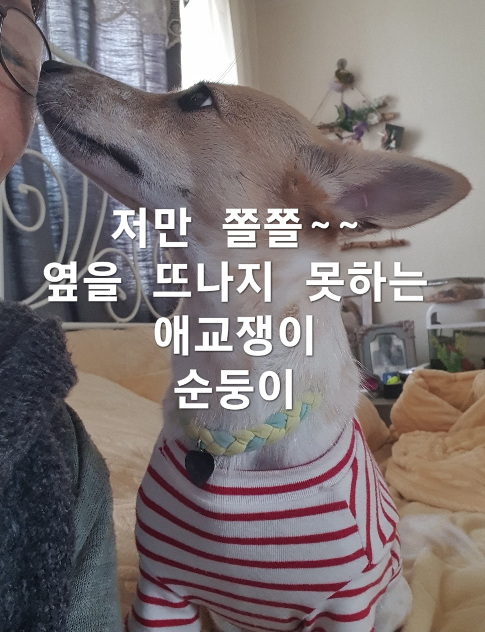 이미지 6