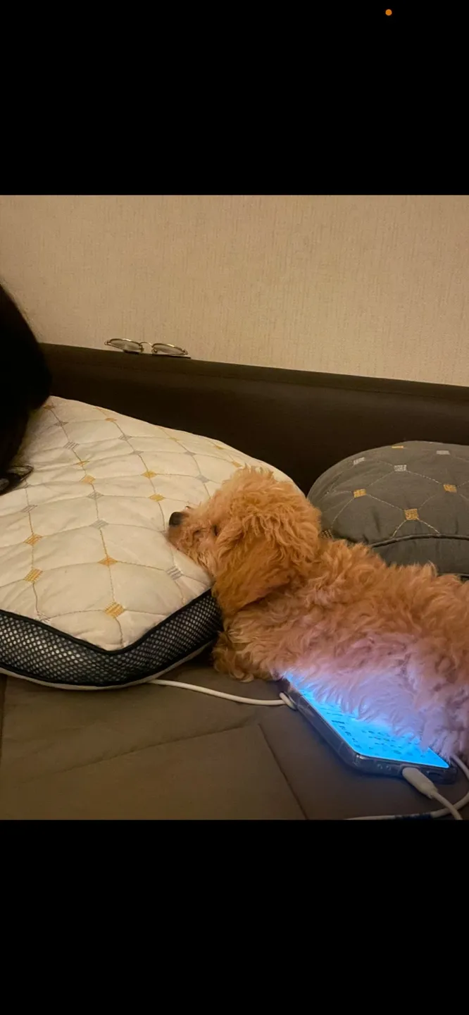이미지 6