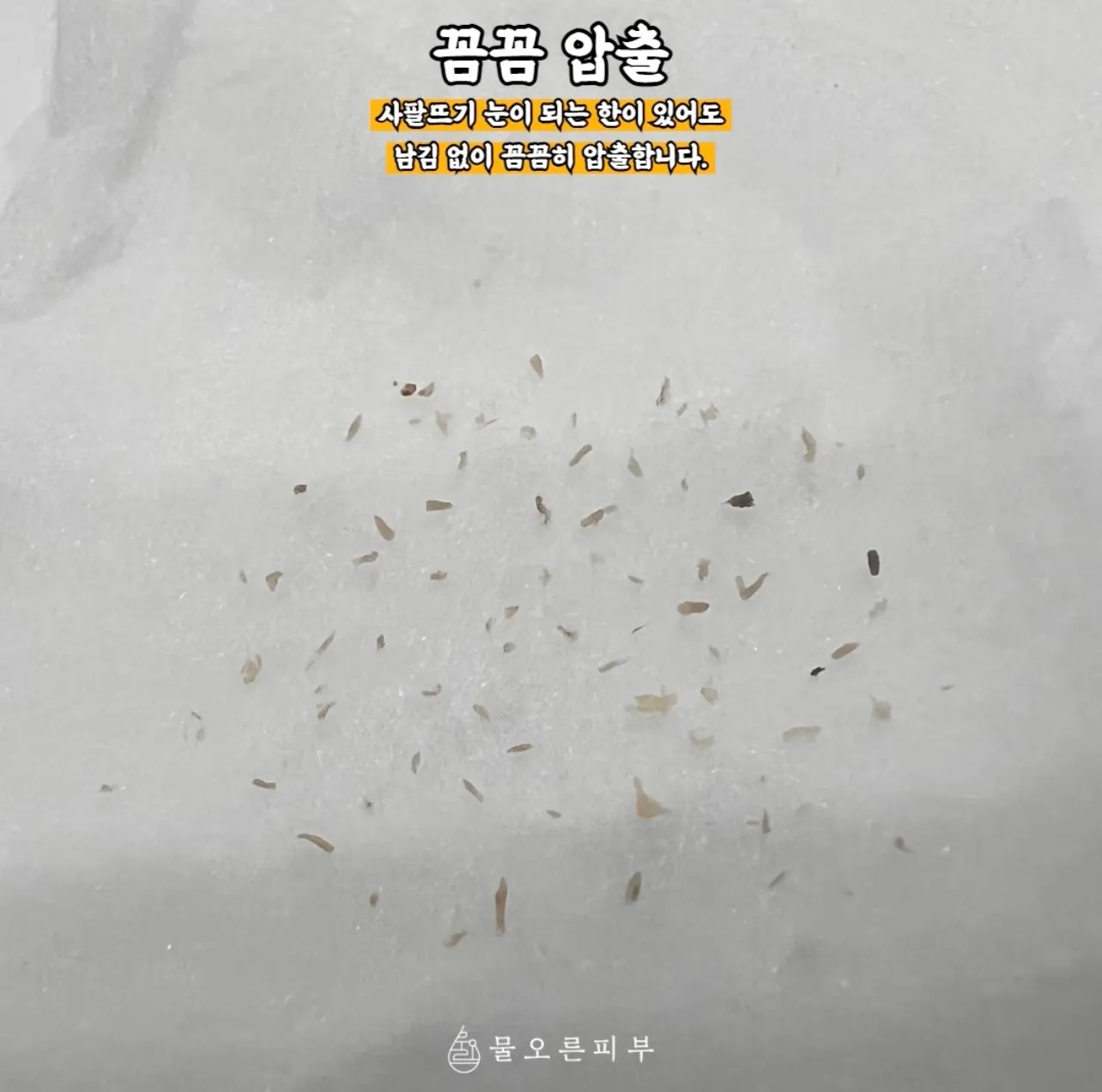 이미지 9