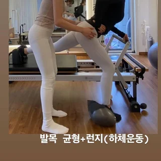 회원님 과정 & 기록🌳