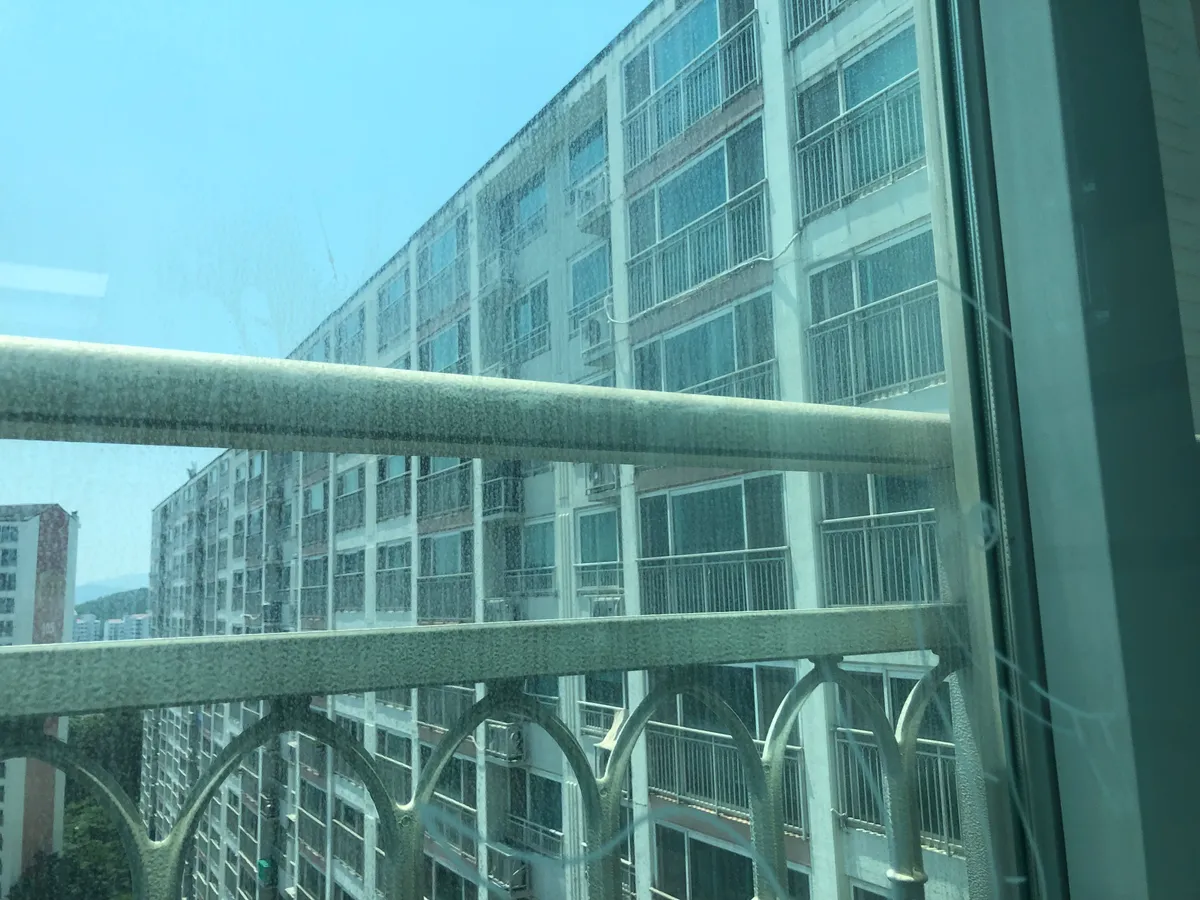 이미지 5