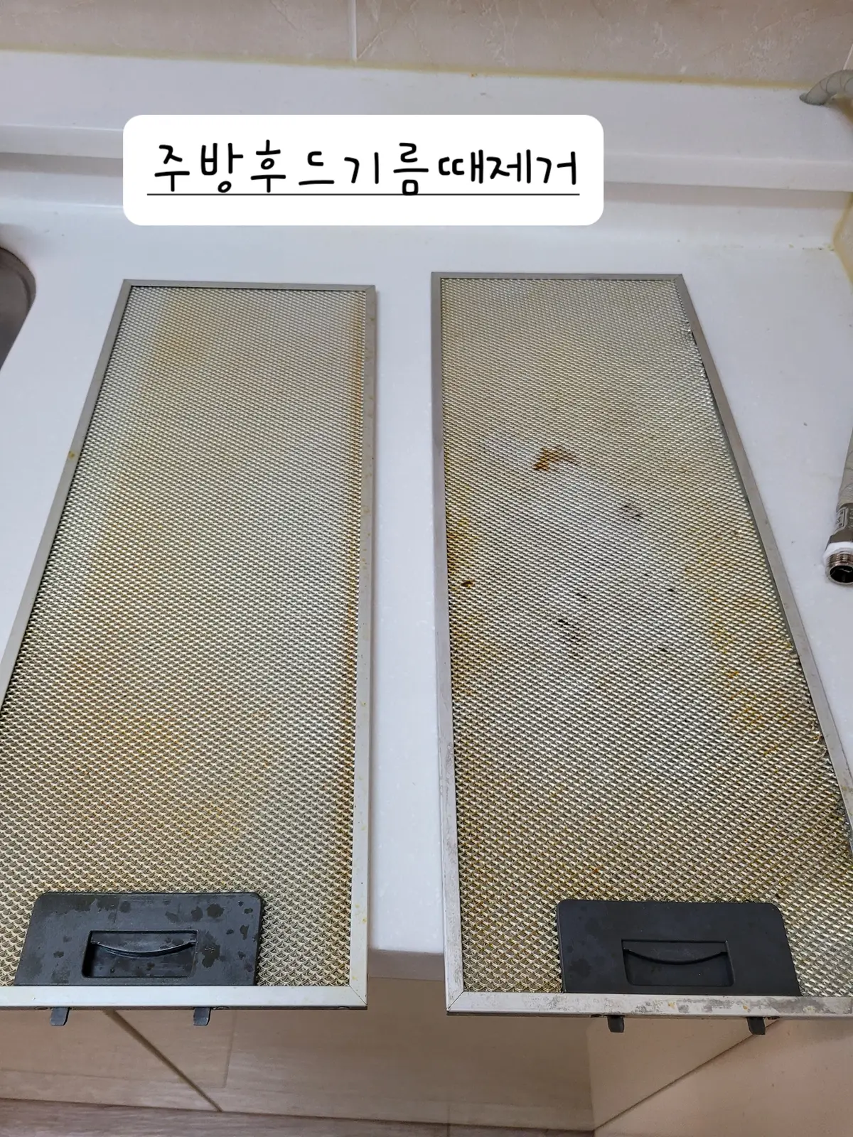 이미지 10