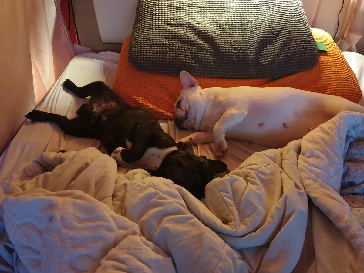 이미지 8