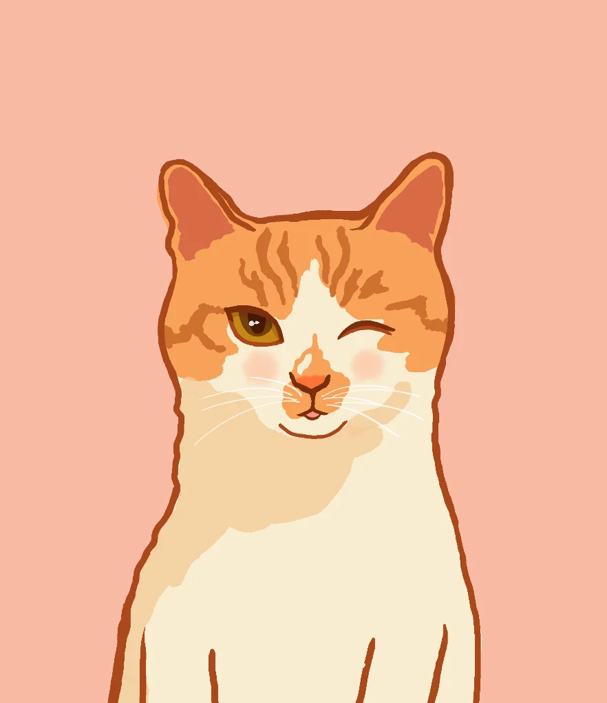 이미지 6