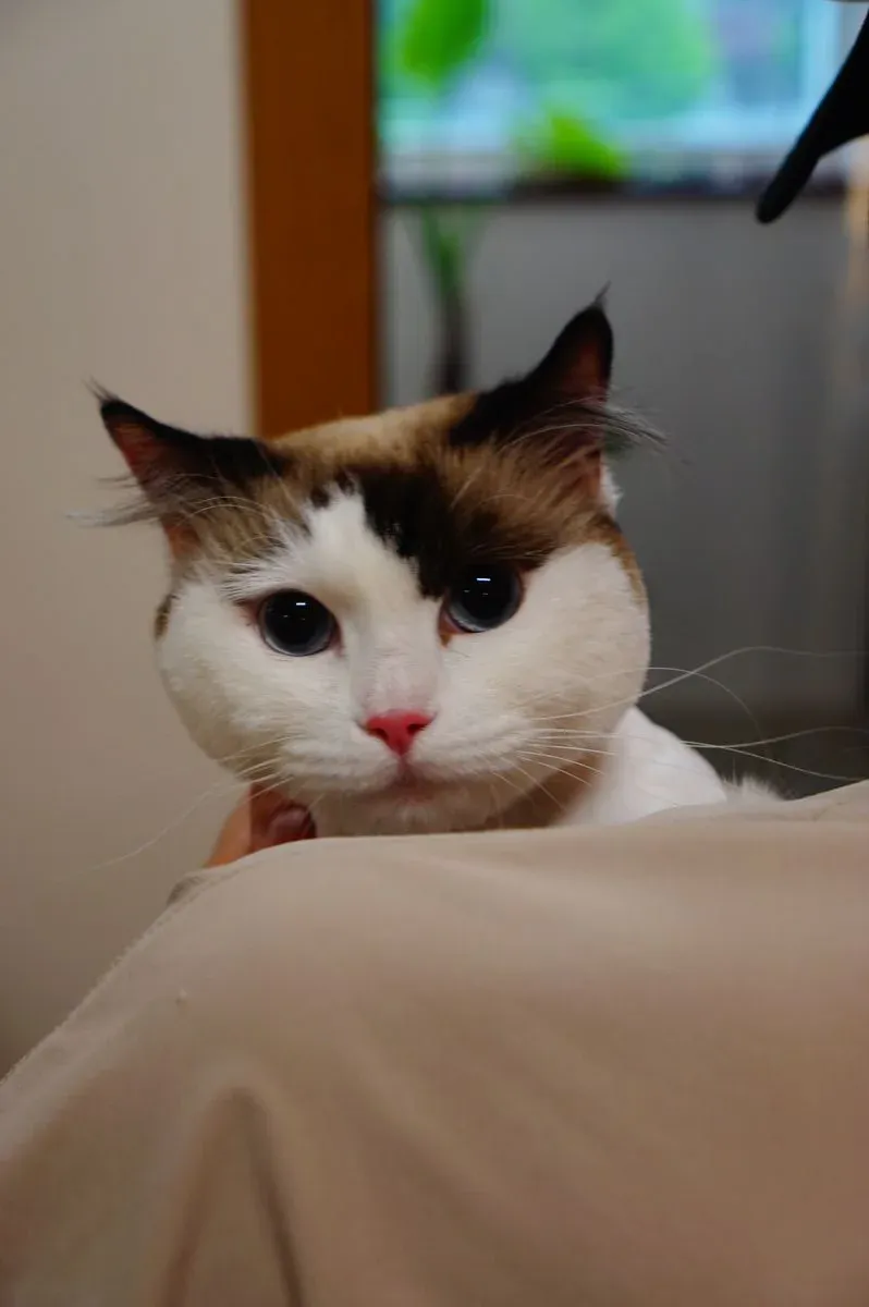 이미지 6