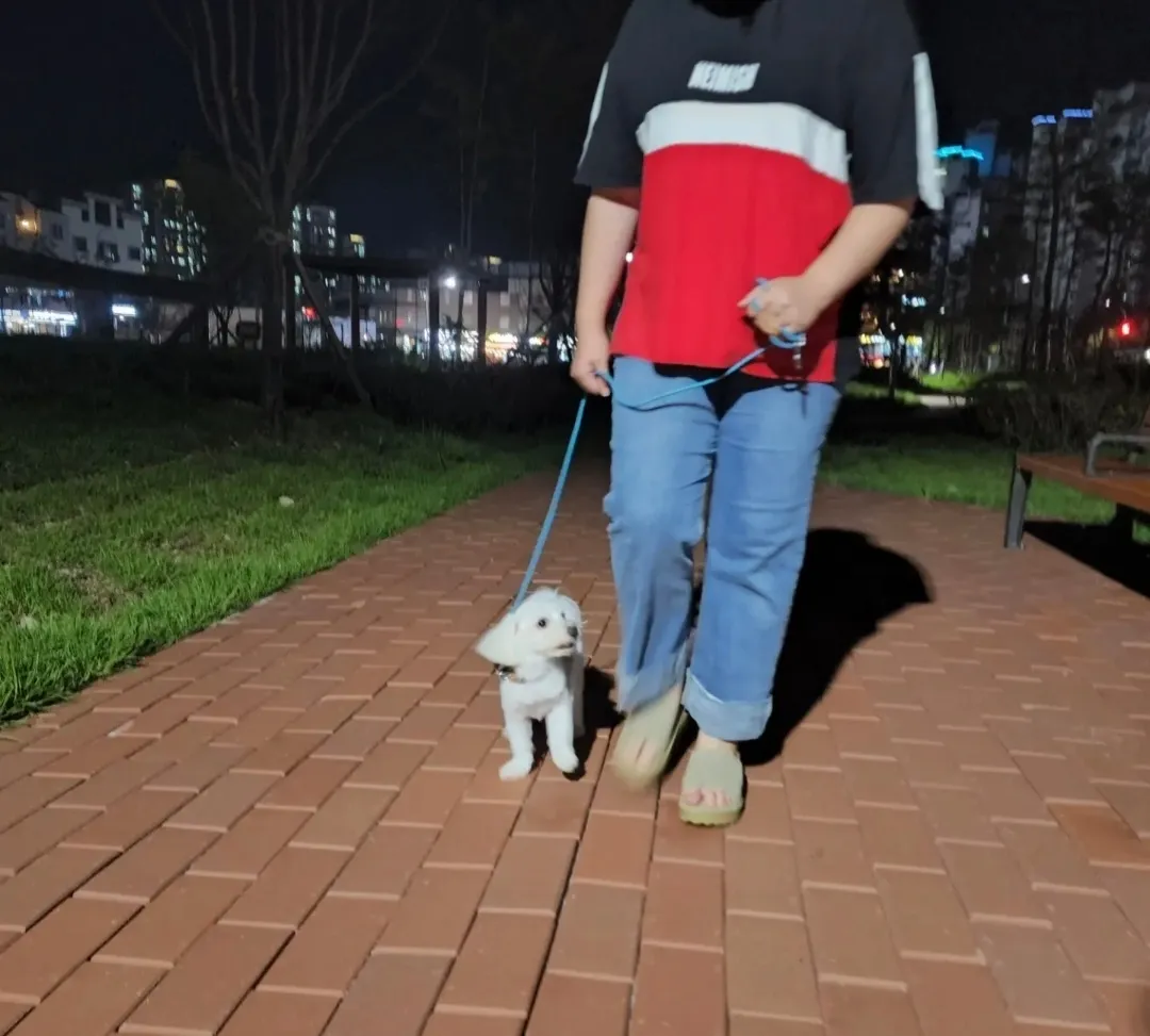 이미지 3