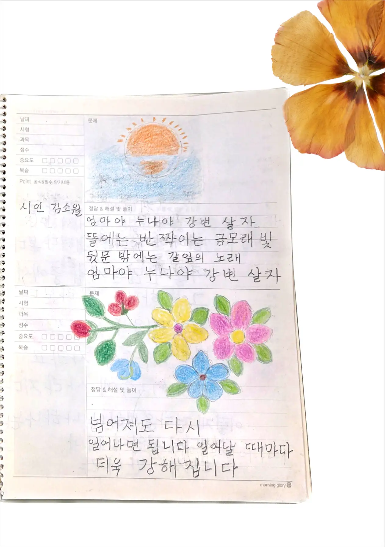 이미지 18