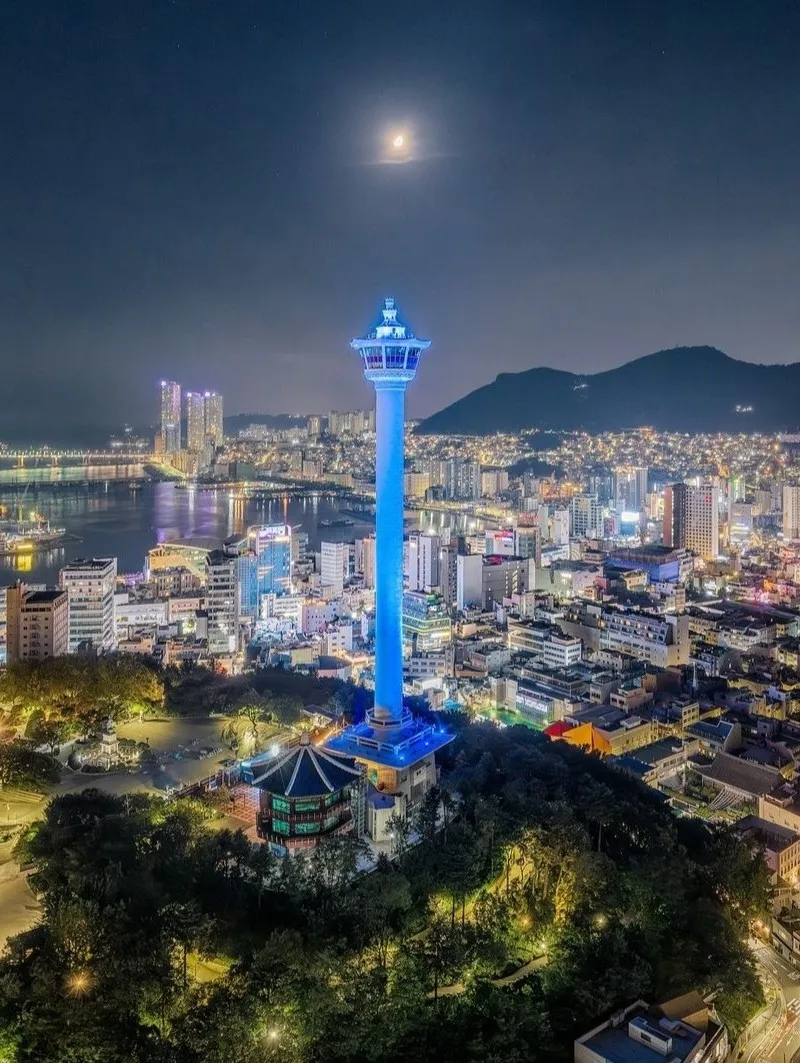 이미지 3