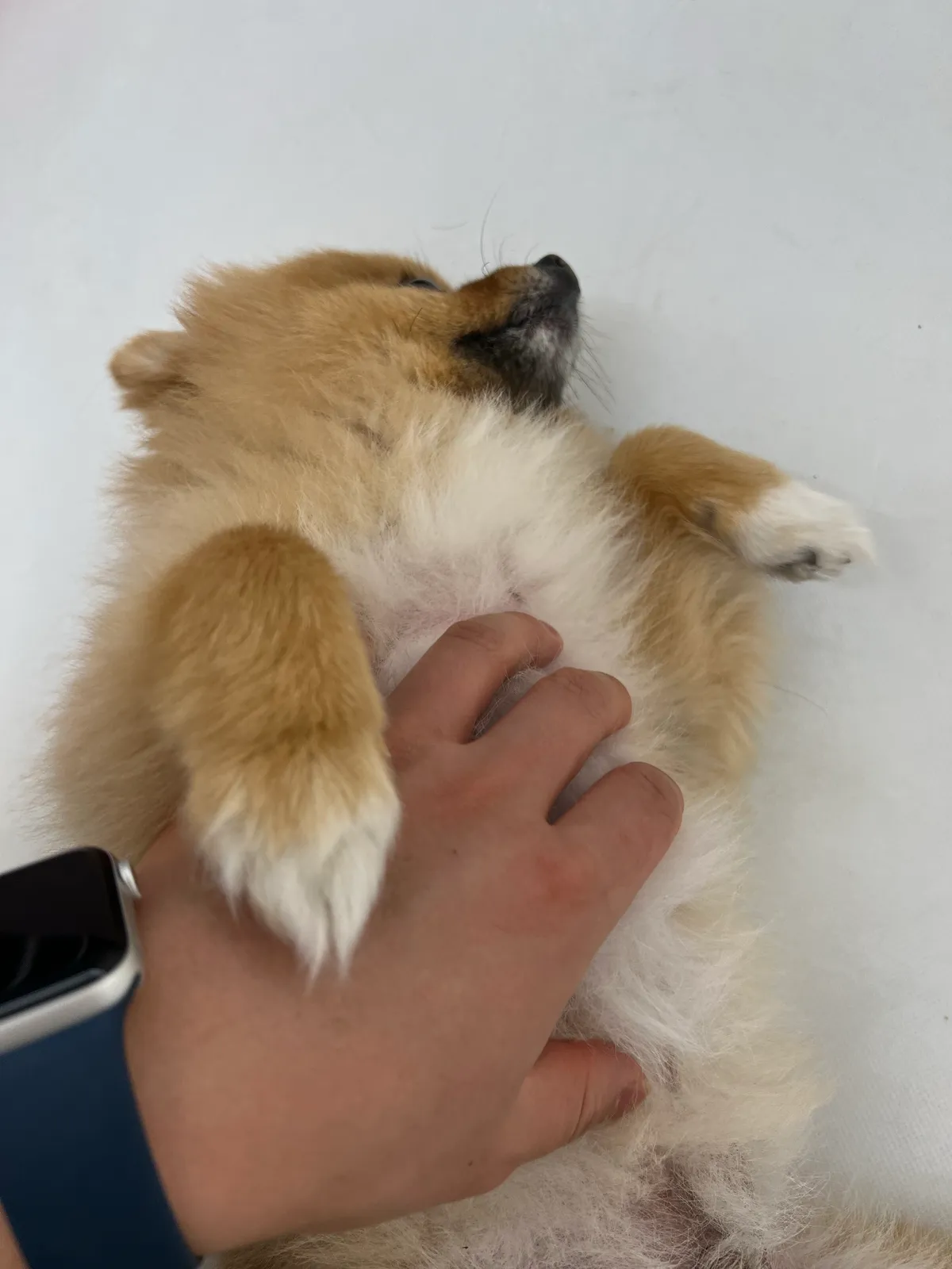 이미지 3