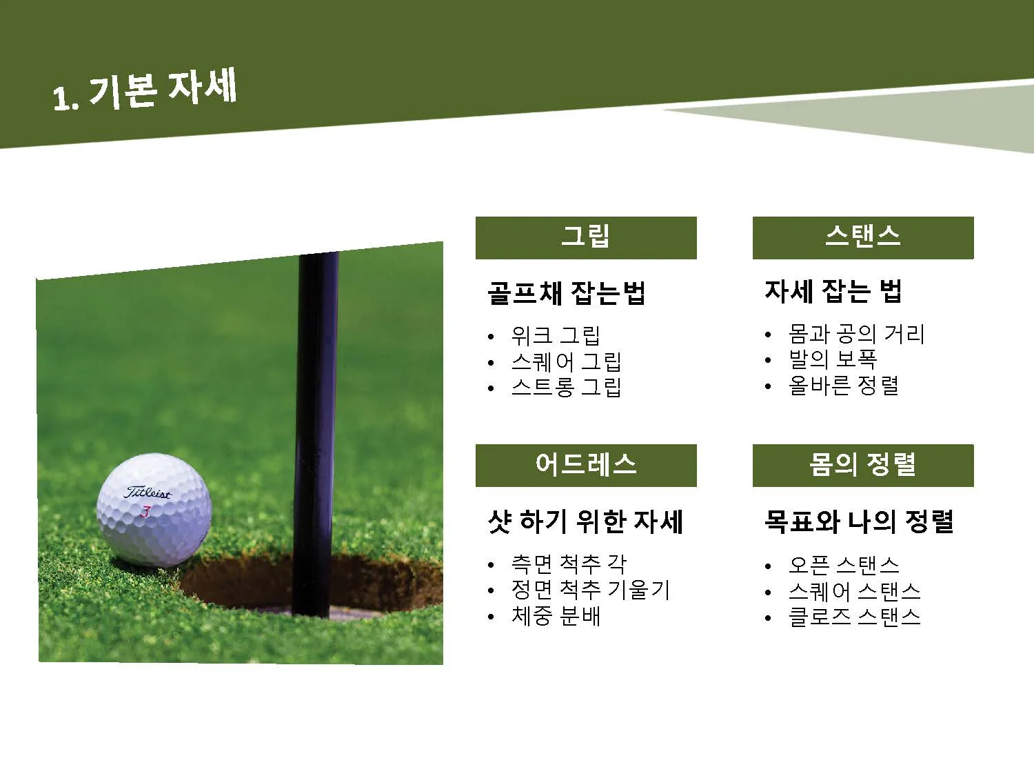 이미지 11