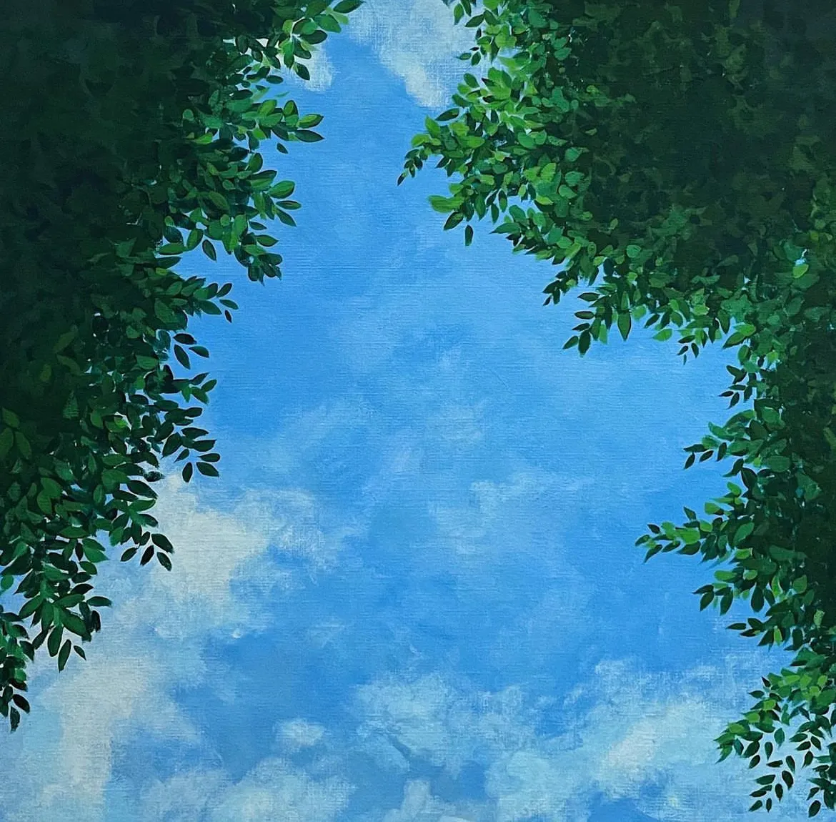 이미지 5