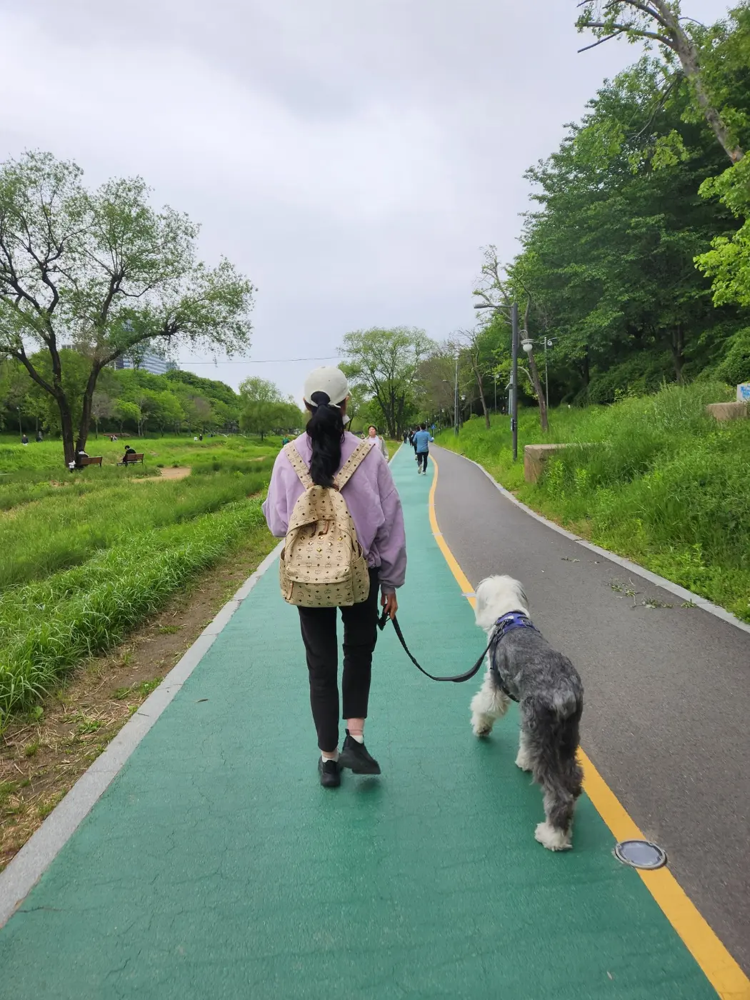이미지 11