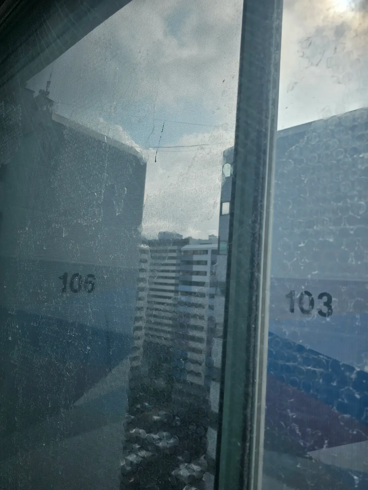 이미지 11