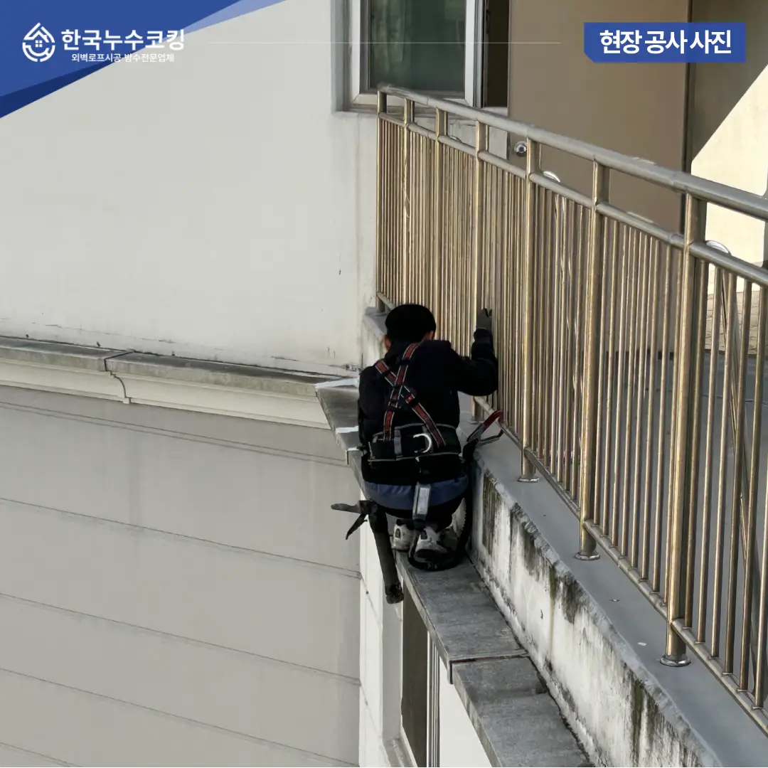 이미지 12
