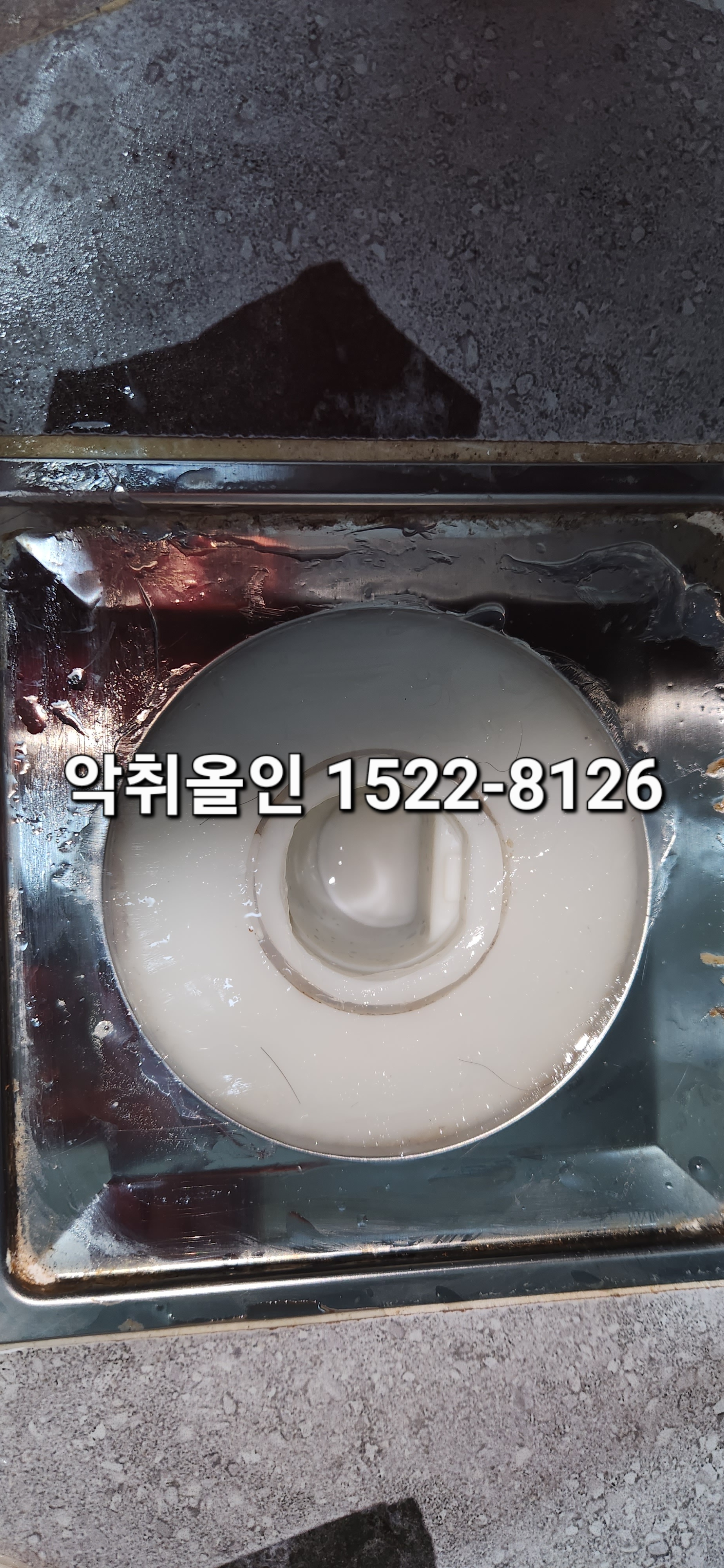 이미지 7