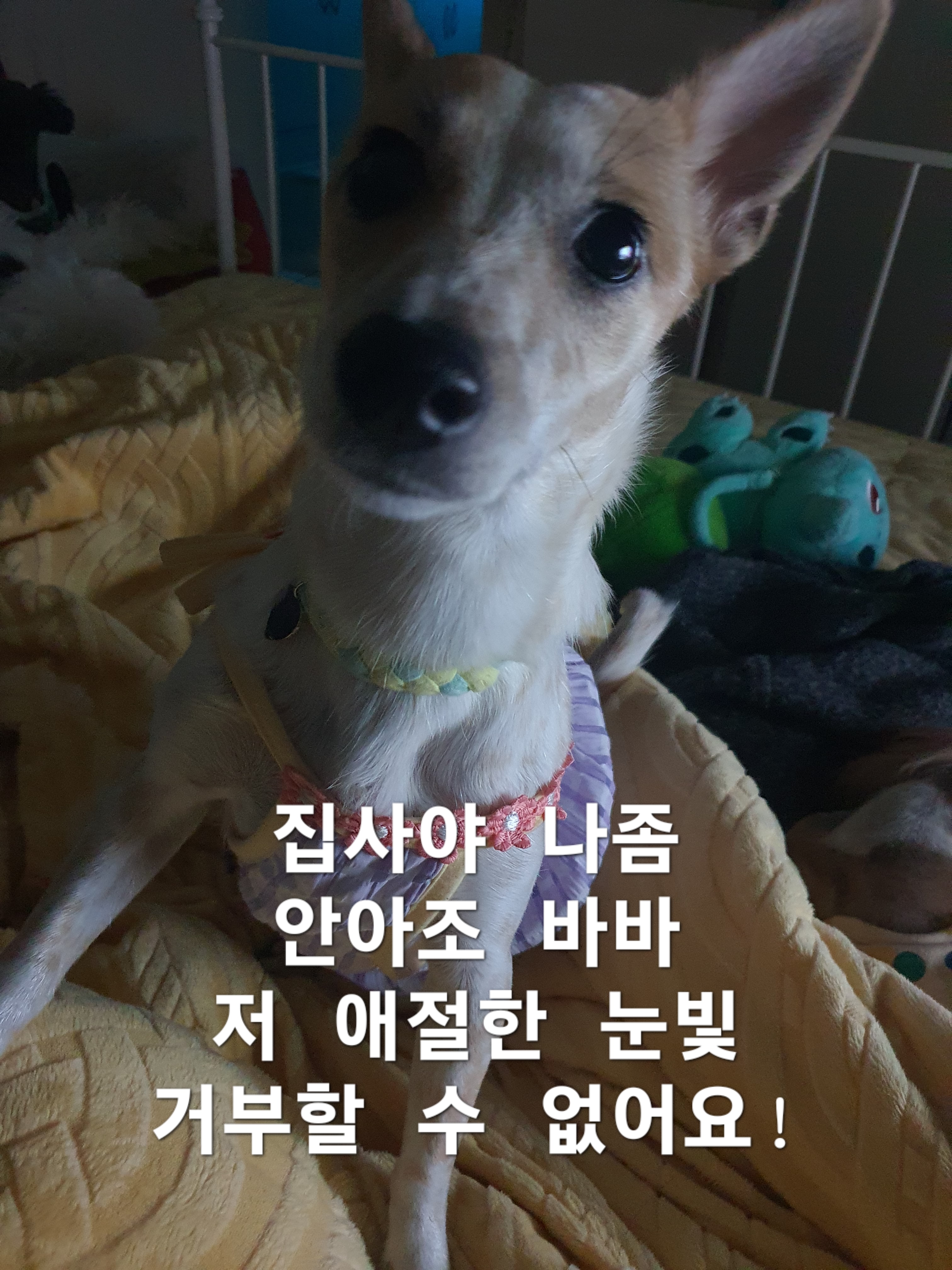 이미지 5