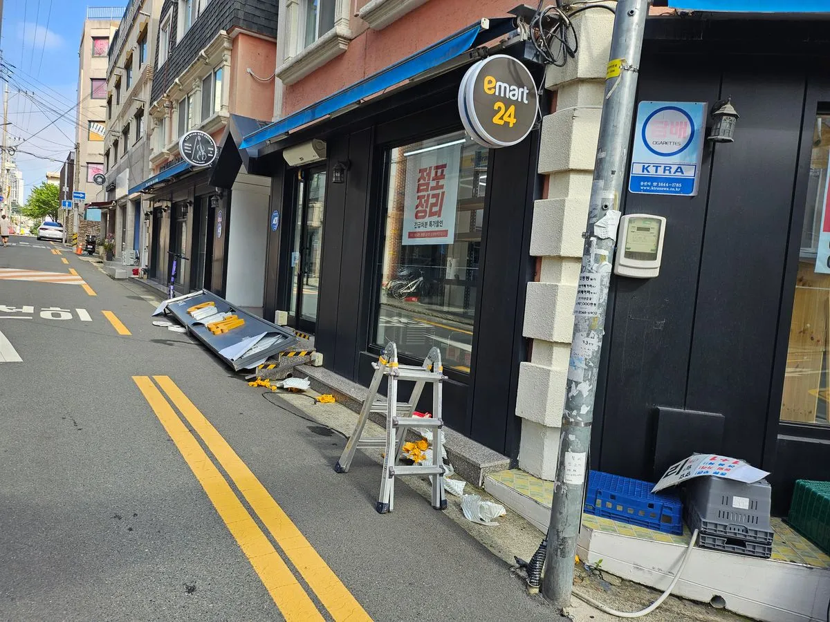 이미지 10