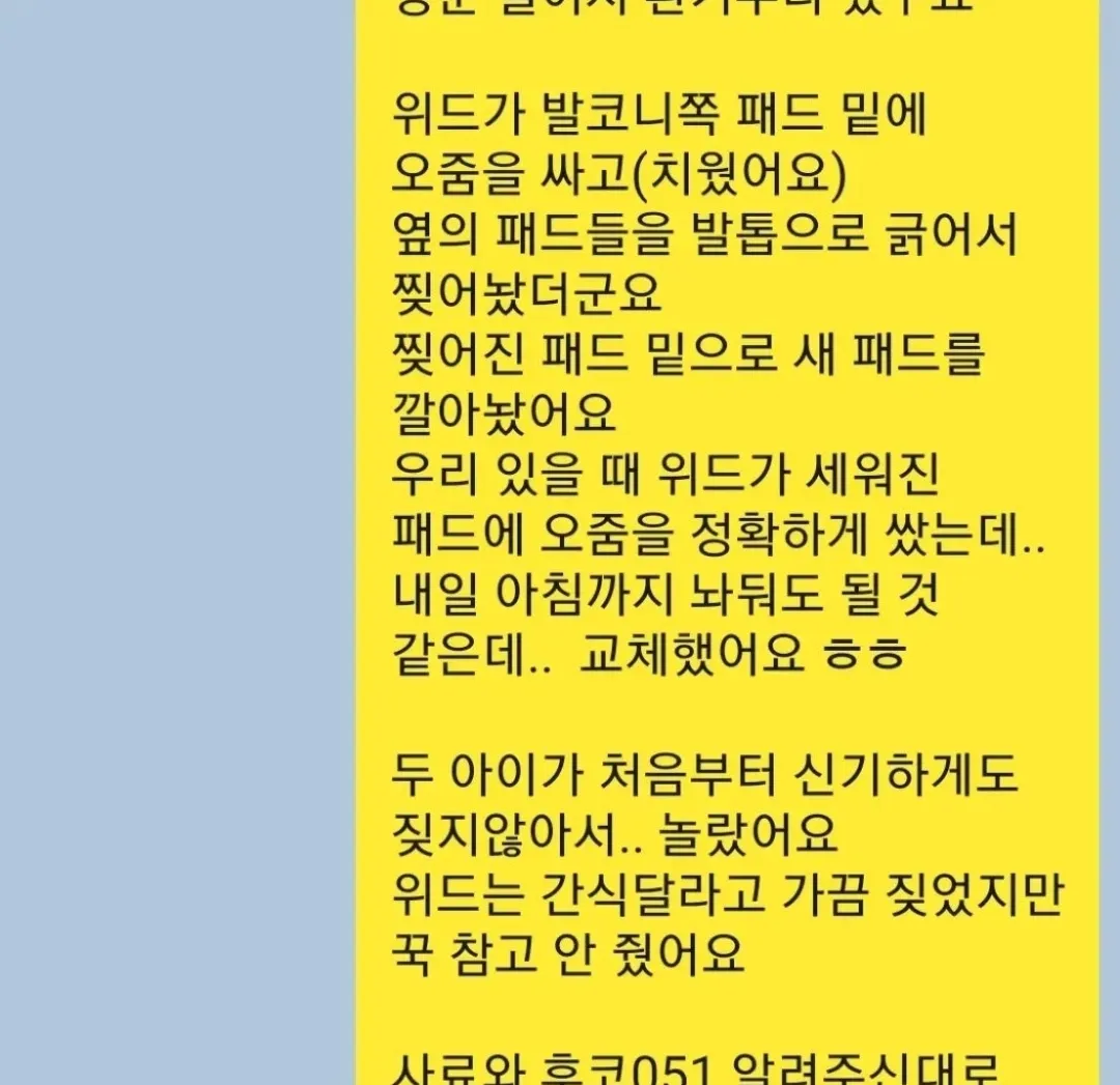 이미지 9