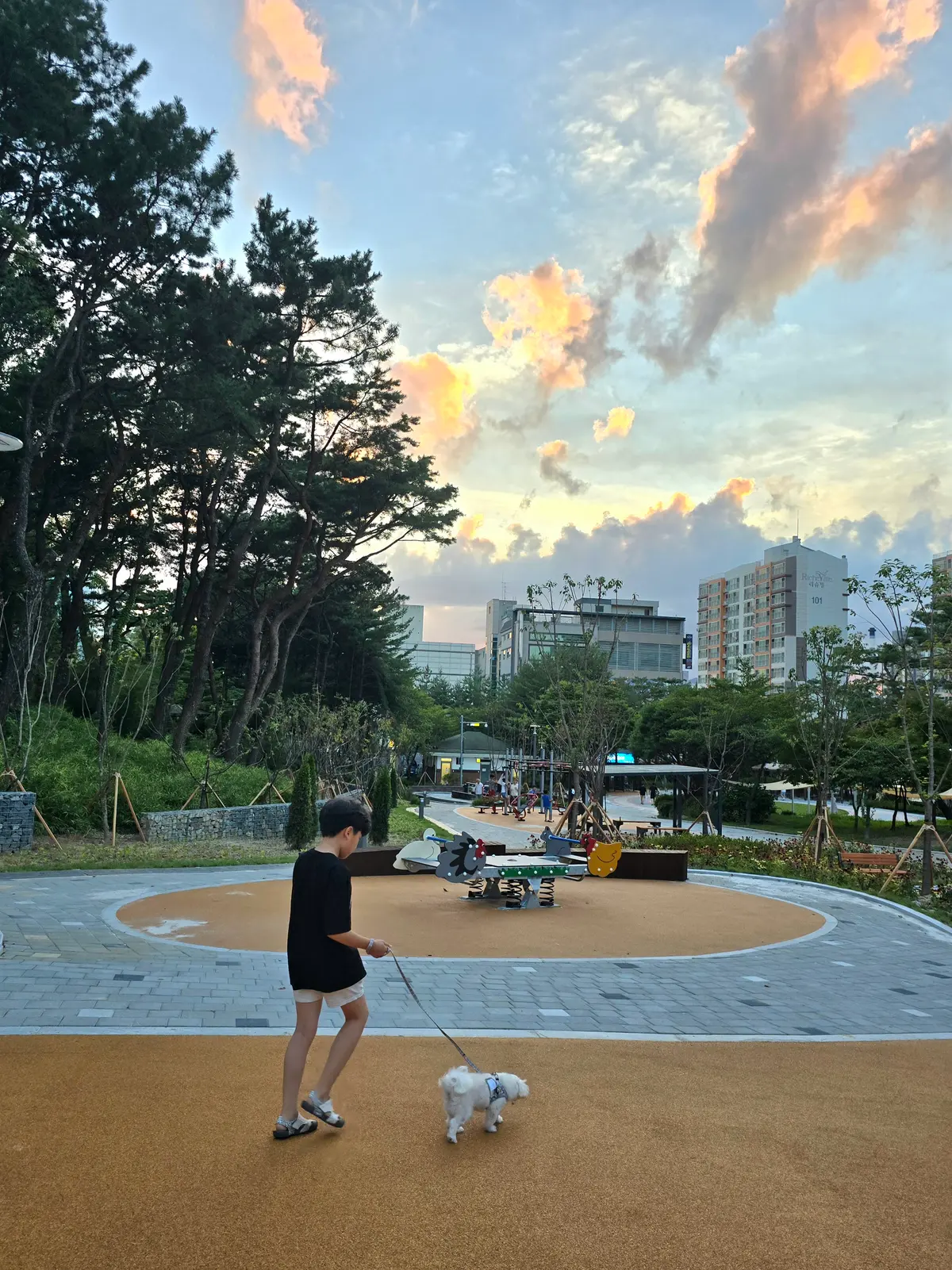 이미지 7