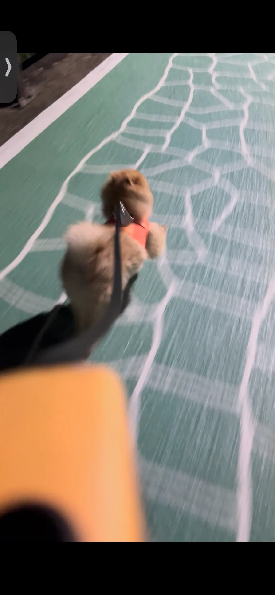 이미지 4