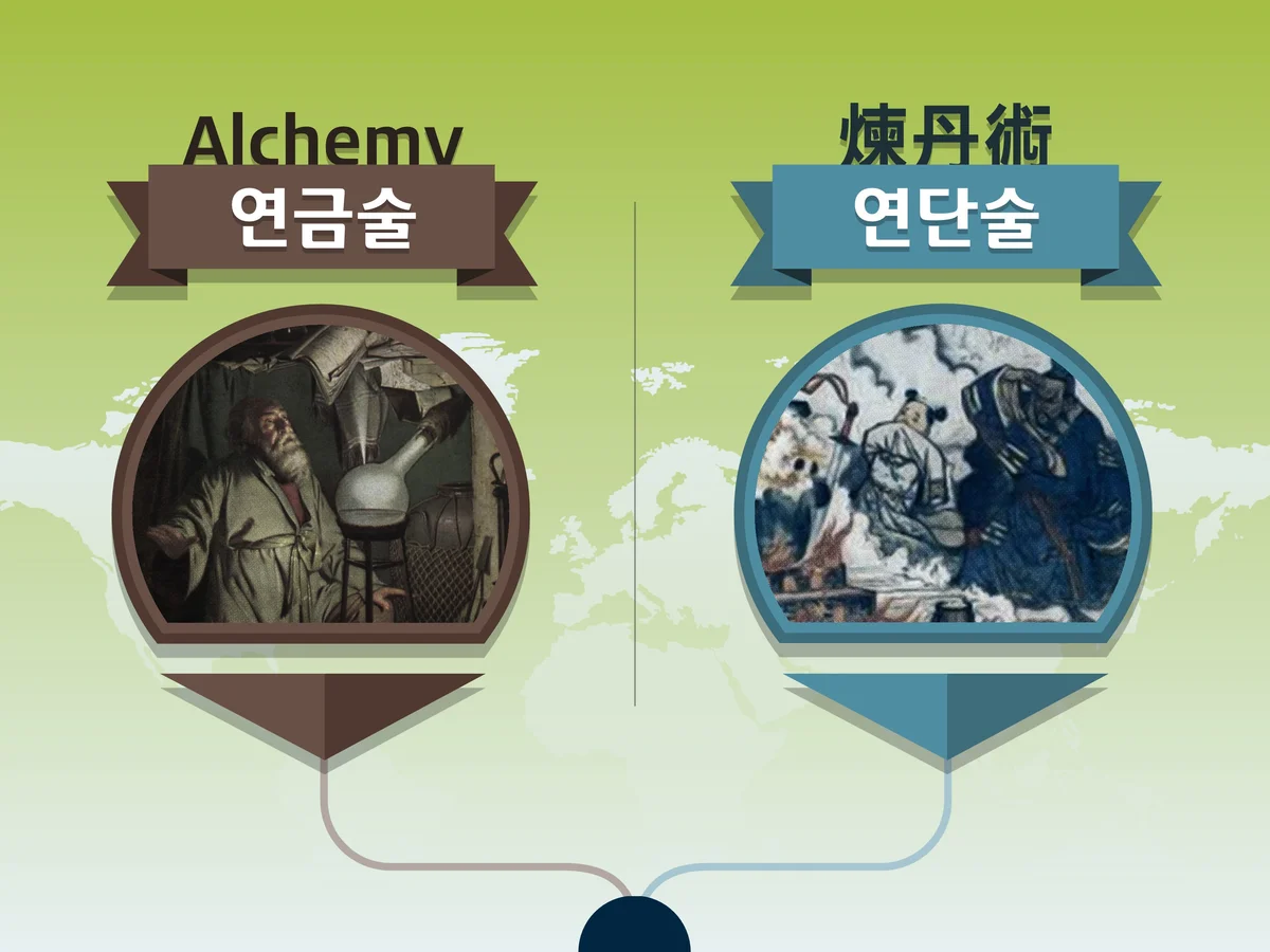 이미지 7