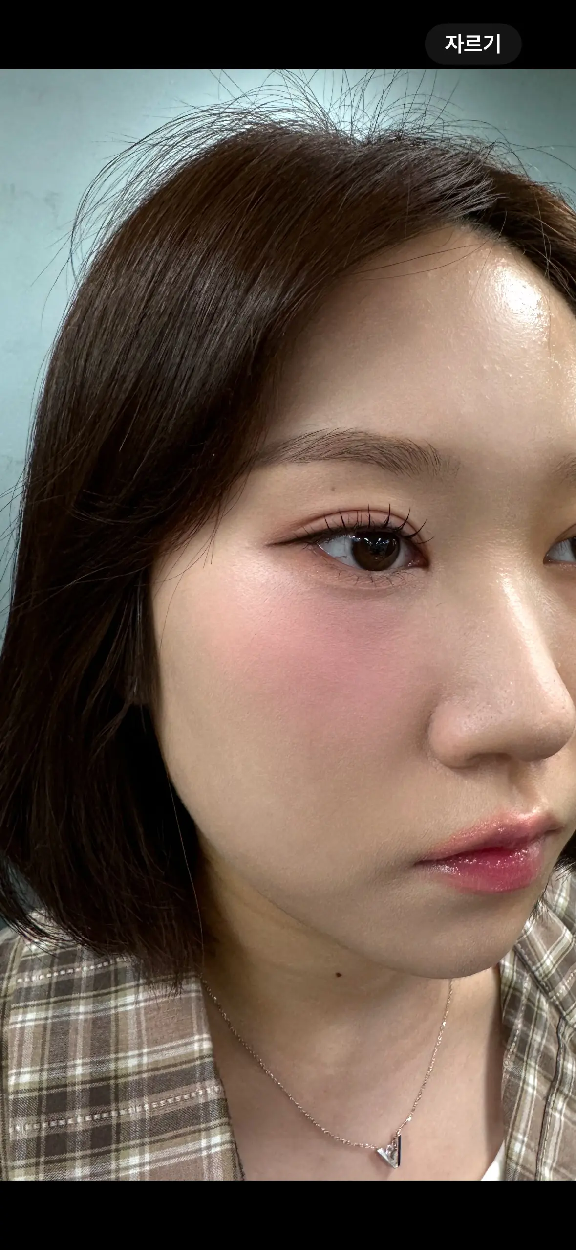 이미지 7