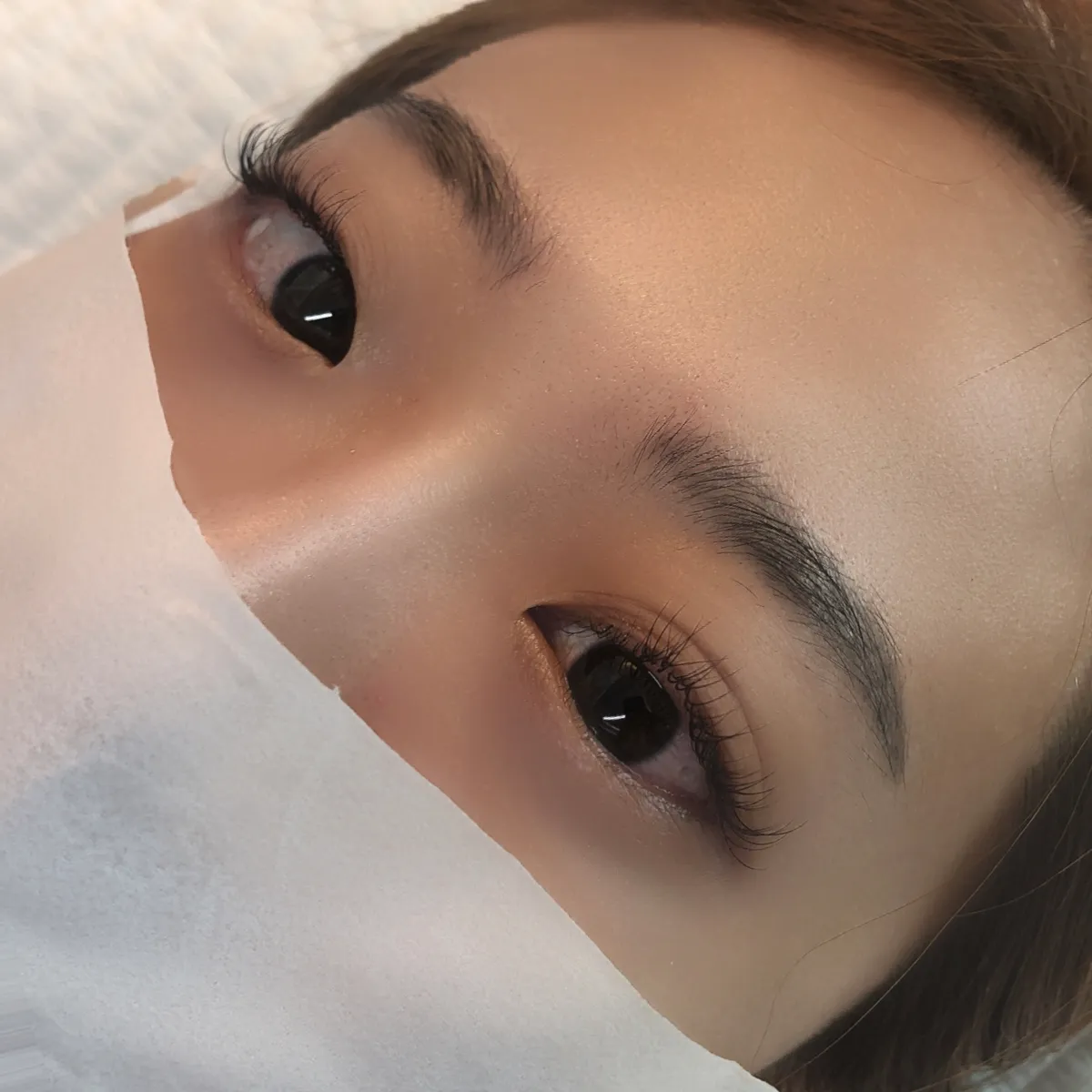 이미지 4