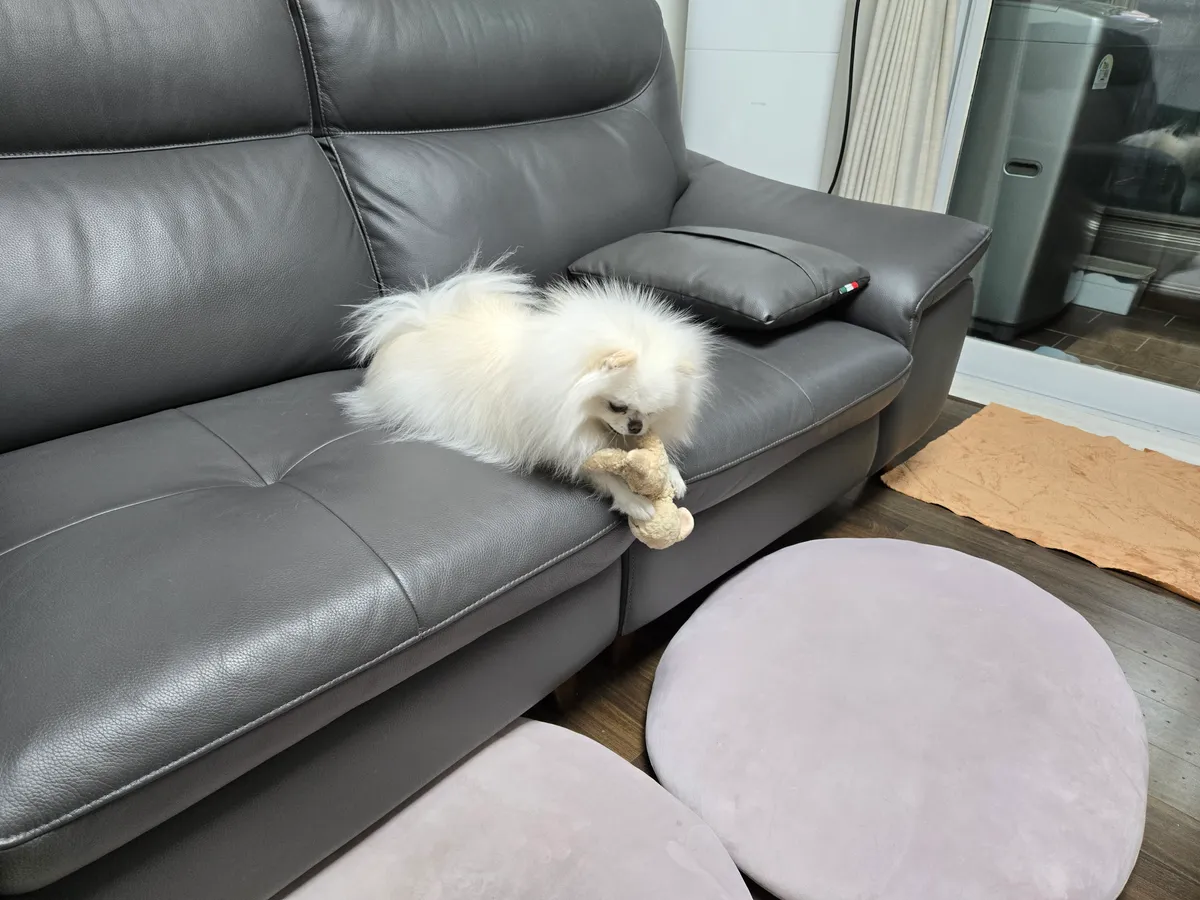 이미지 4
