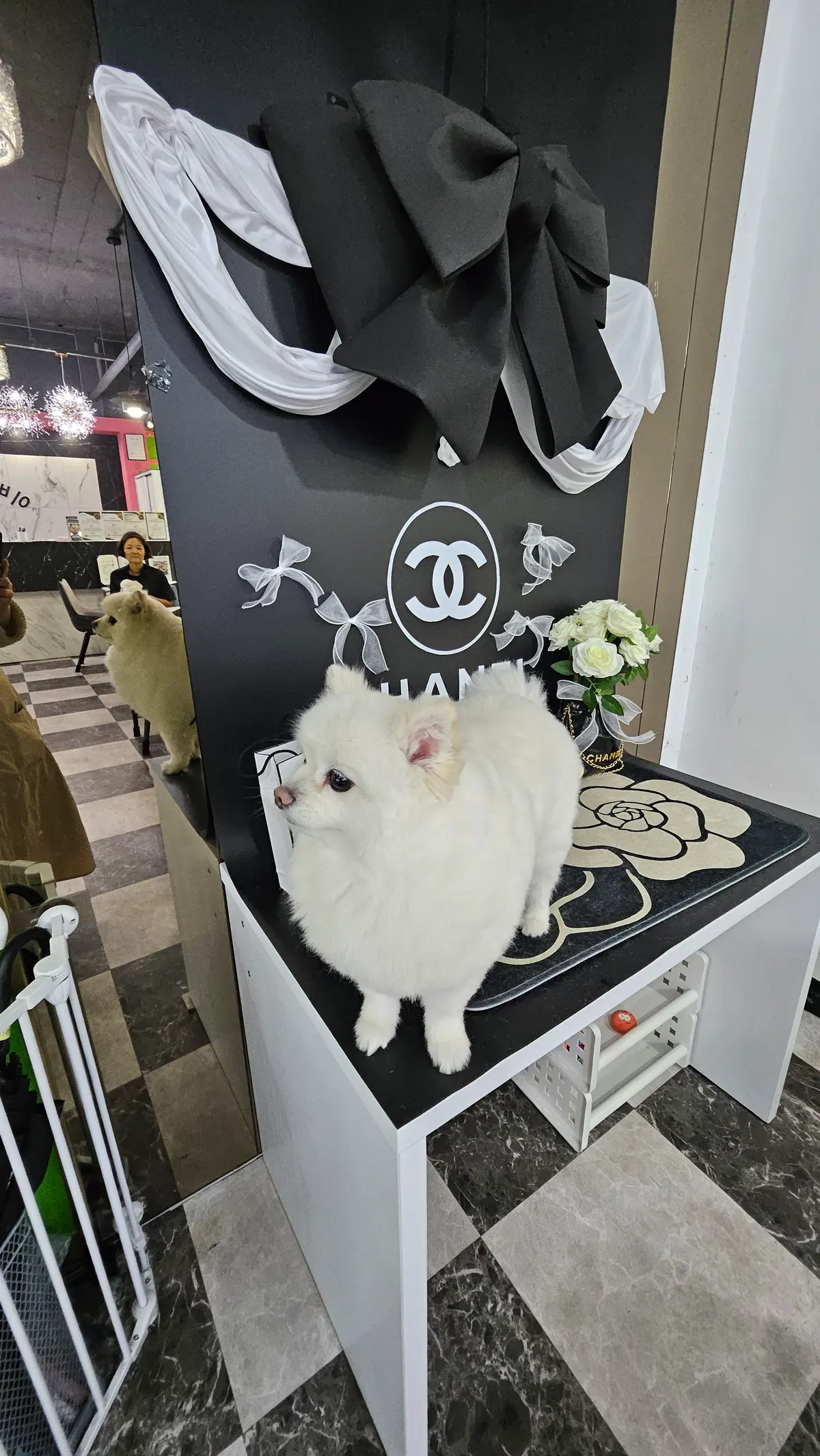 이미지 24
