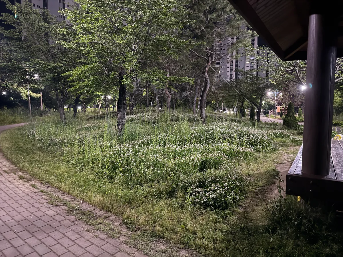 이미지 26