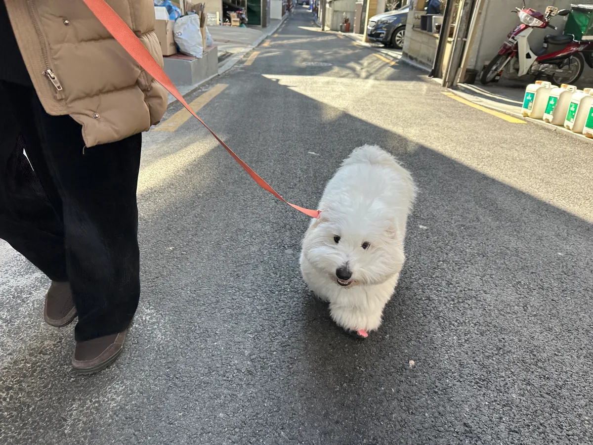 이미지 5