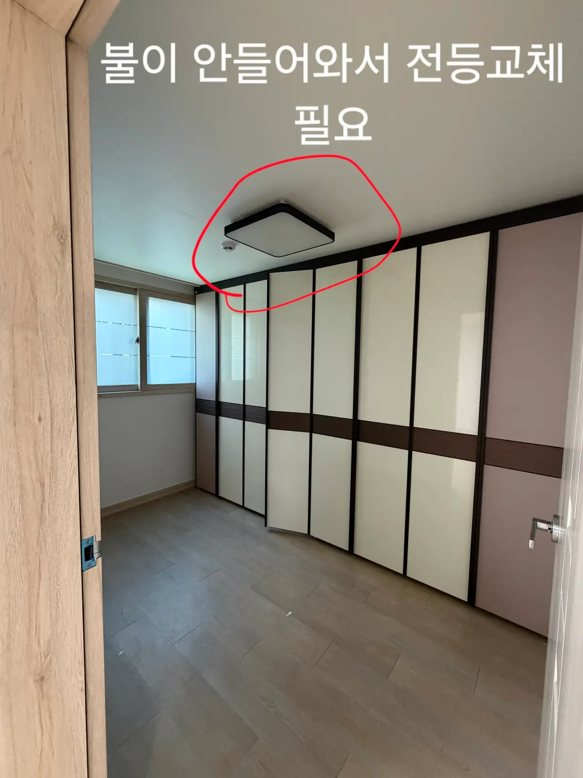 이미지 4