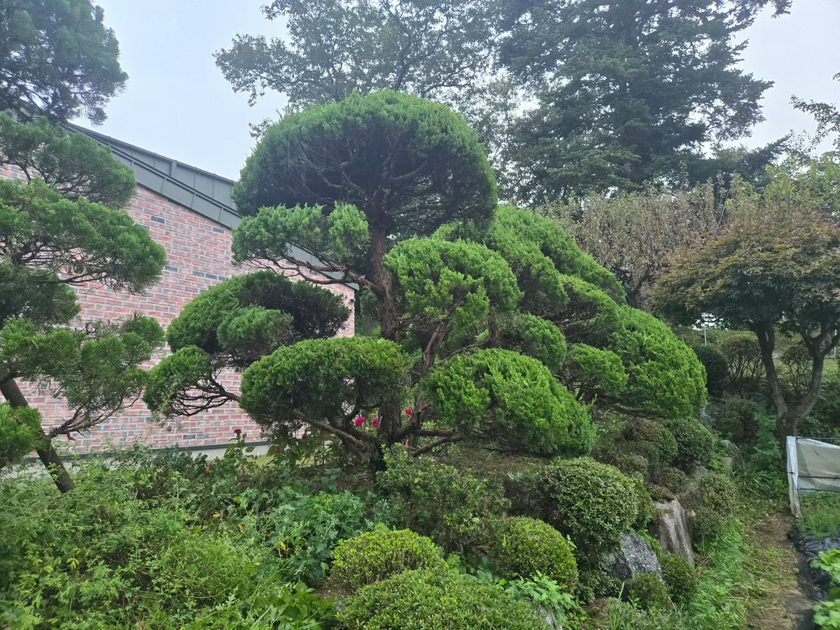 이미지 3