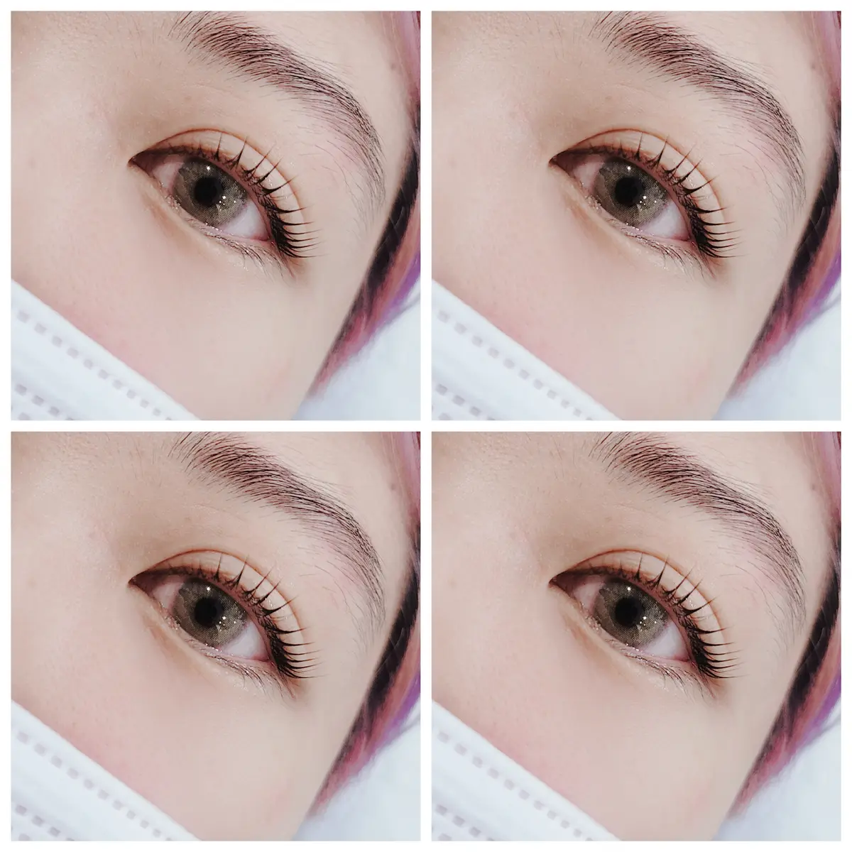 이미지 5