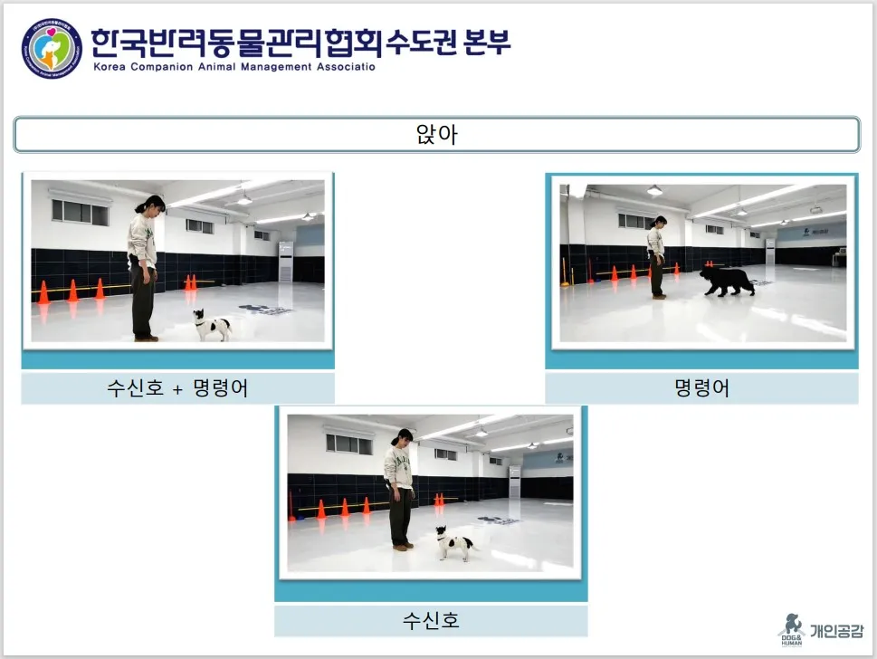 이미지 5