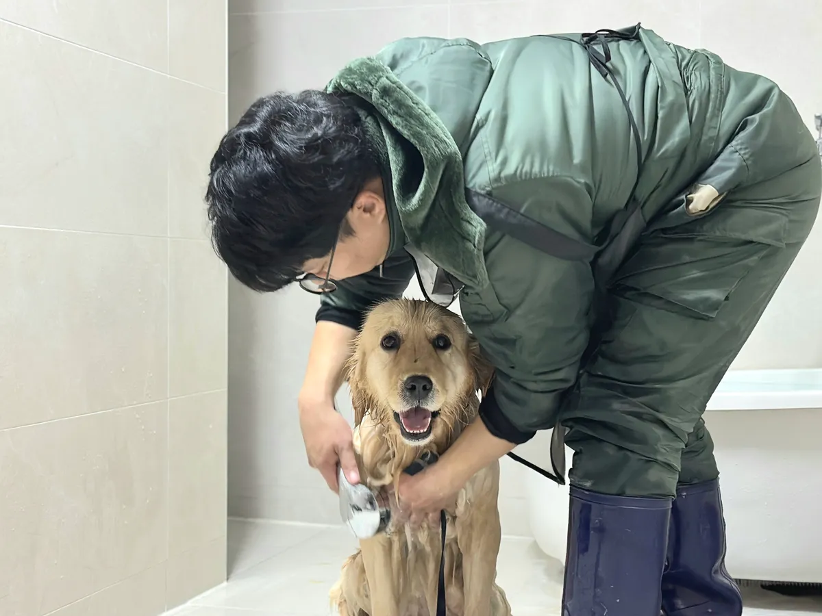 이미지 8