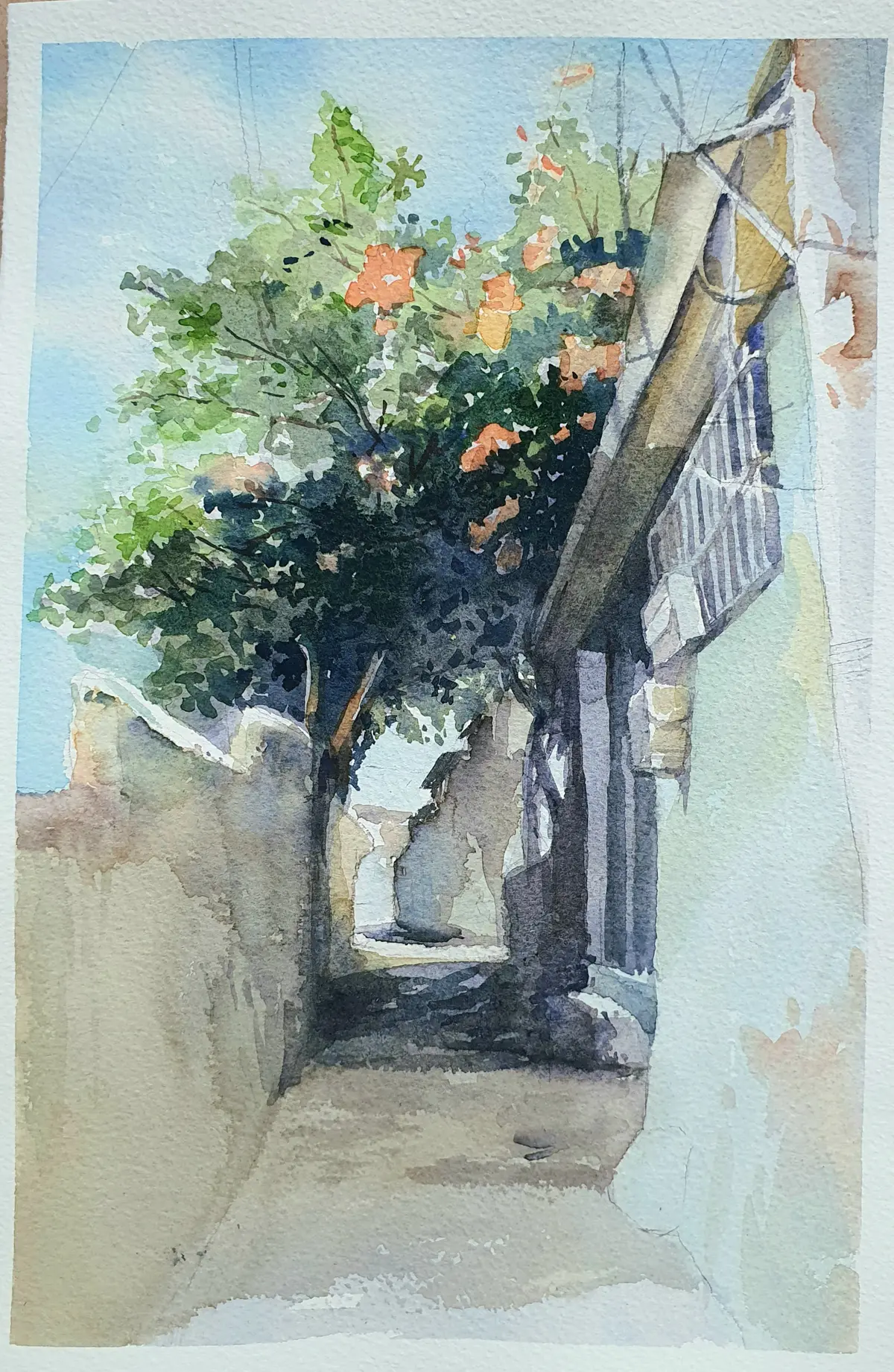 이미지 9
