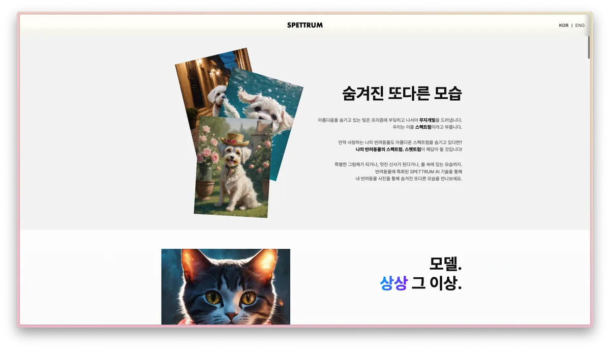 이미지 3
