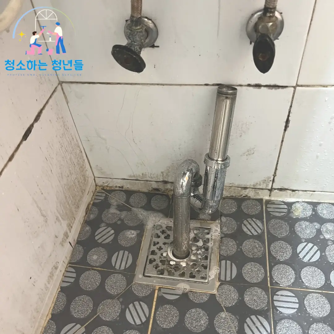 이미지 3