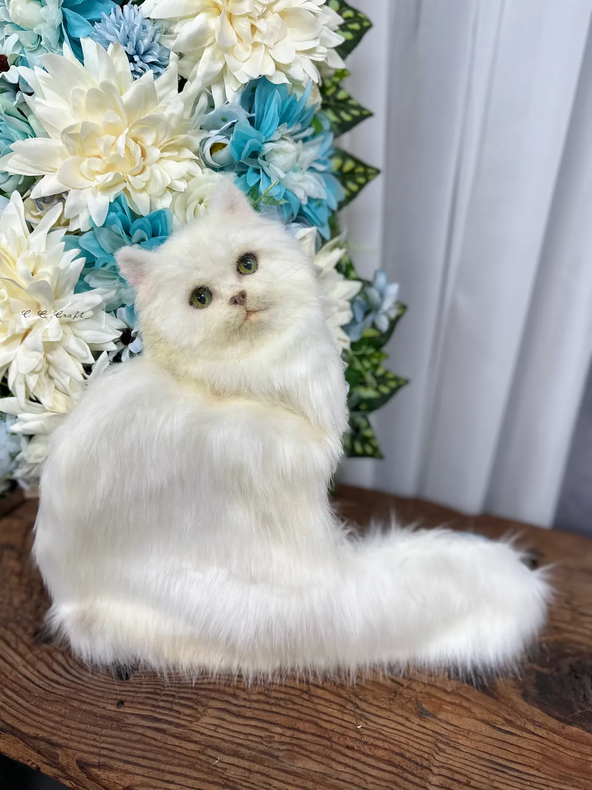 이미지 5