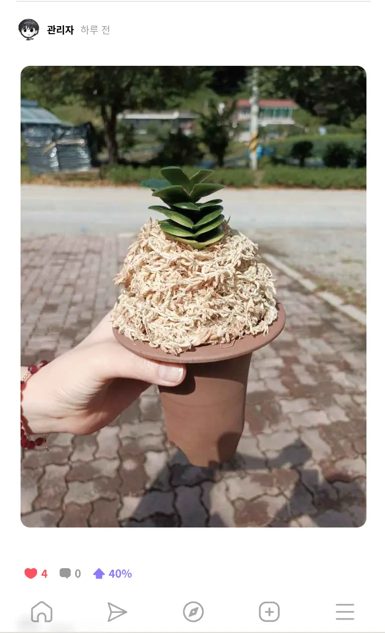 이미지 6