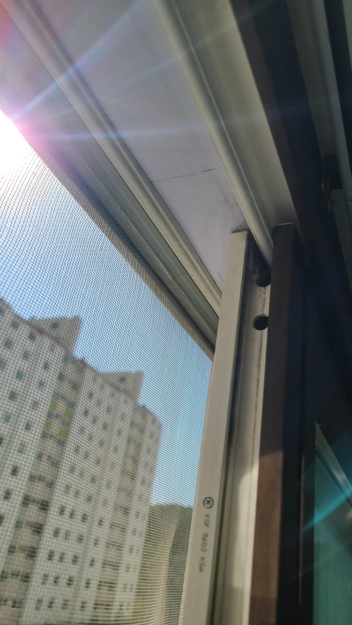 이미지 11