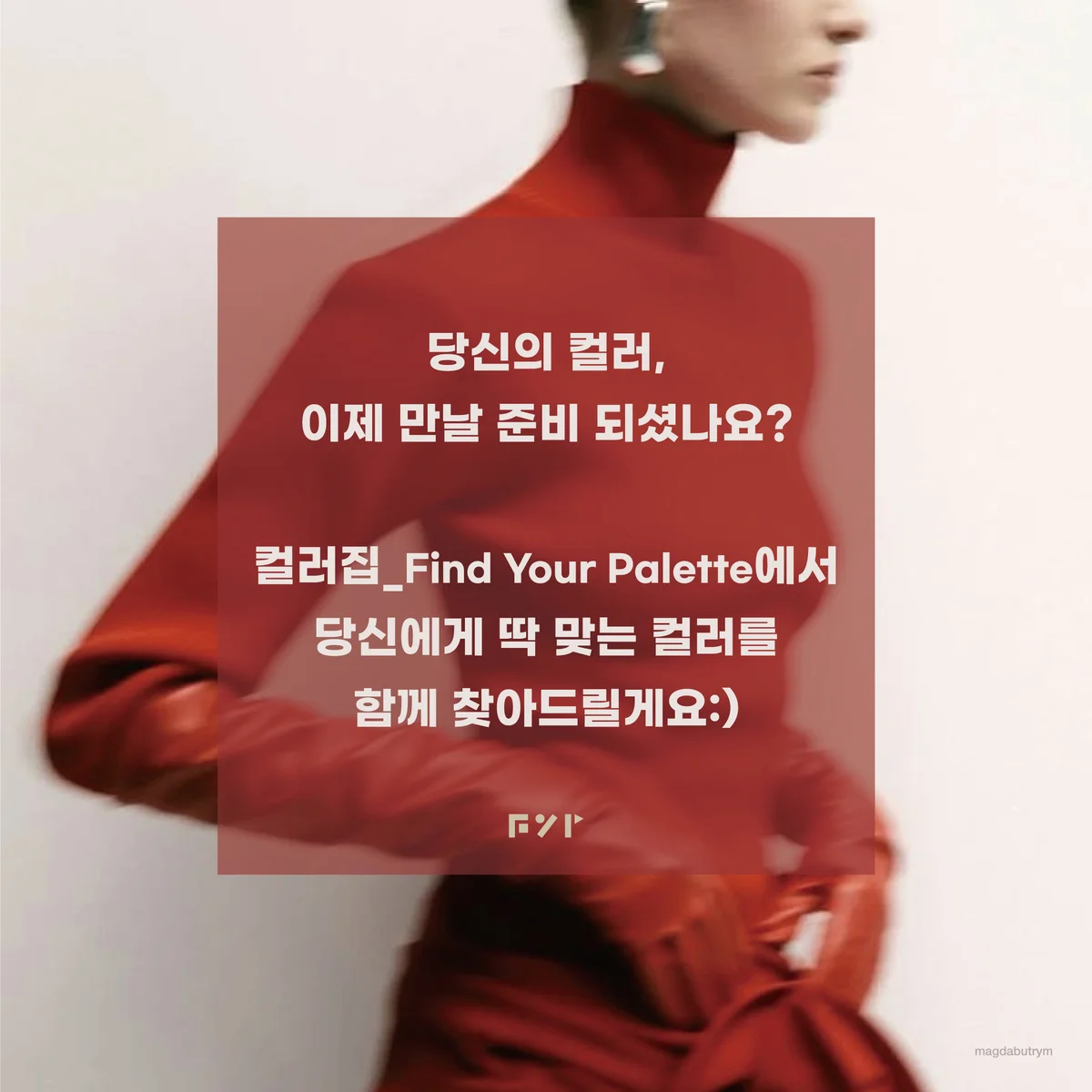 이미지 2